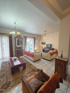 TV, DVD player, books, video library