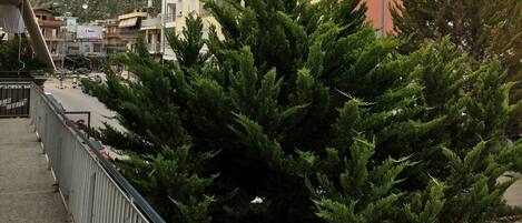 Área da propriedade