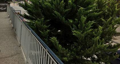 ΤΟΑΡΧΟΝΤΙΚΟ ΤΟΥ ΠΕΙΡΑΤΉ