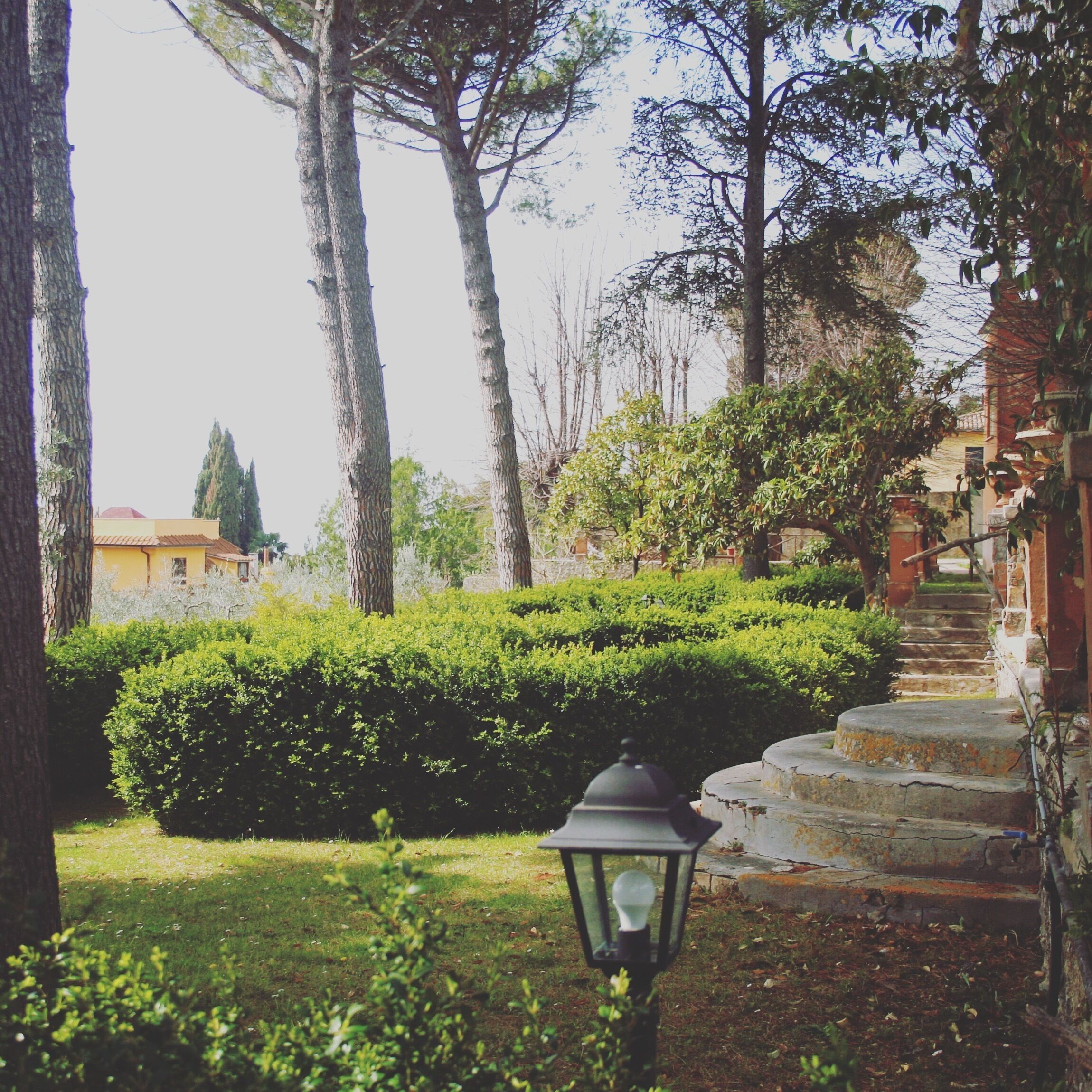 Parco della struttura