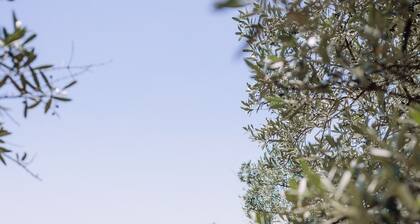 BELLE VILLA ANTIQUE AVEC UN PARC ET VUE FABULEUSE PROCHE DE ROME