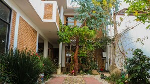 A courtyard with a brick wall, a tree, and various plants. - Live like a local in San Cris! Pets welcome! (San Cristóbal de las Casas)