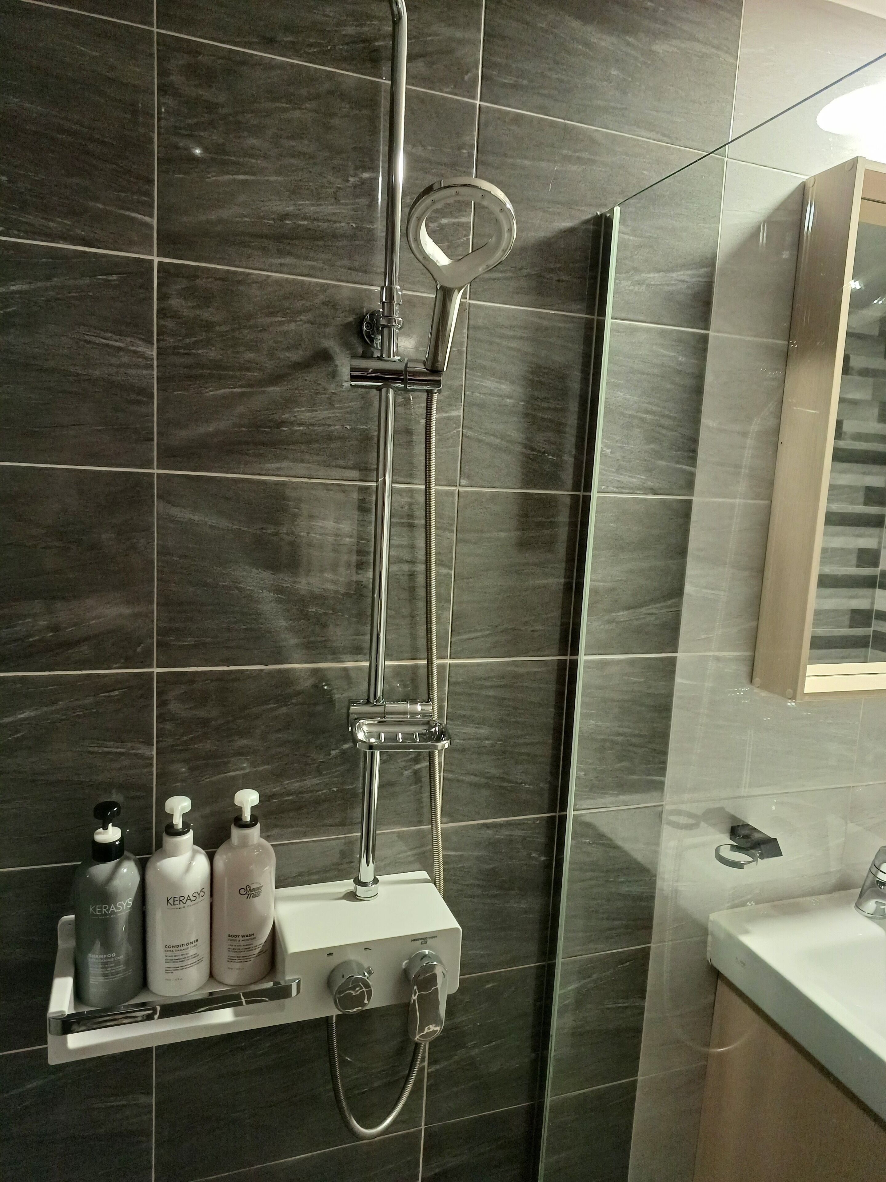 Un baño moderno con ducha, un espejo y un estante con artículos de aseo.