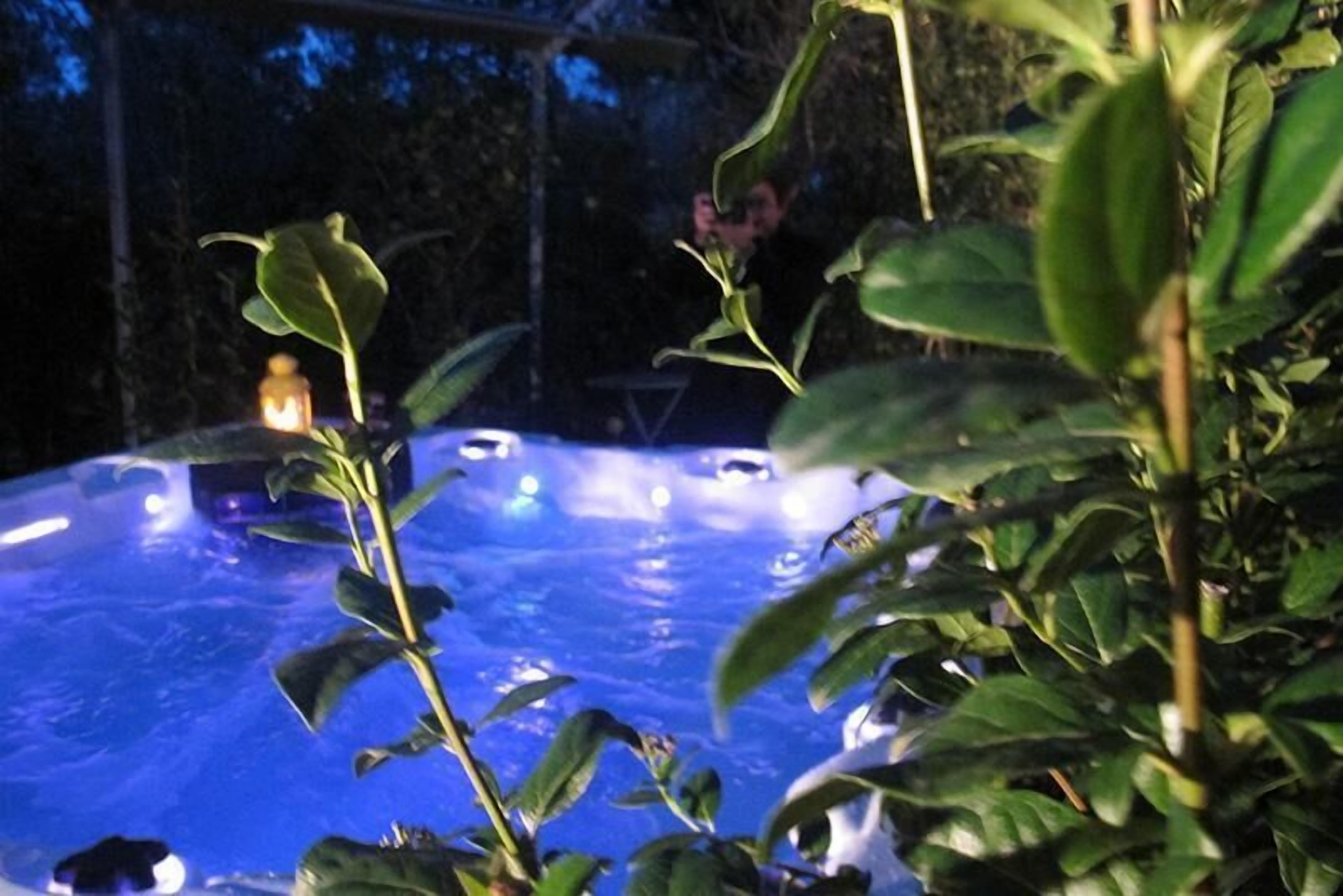 Un jacuzzi rodeado de follaje.