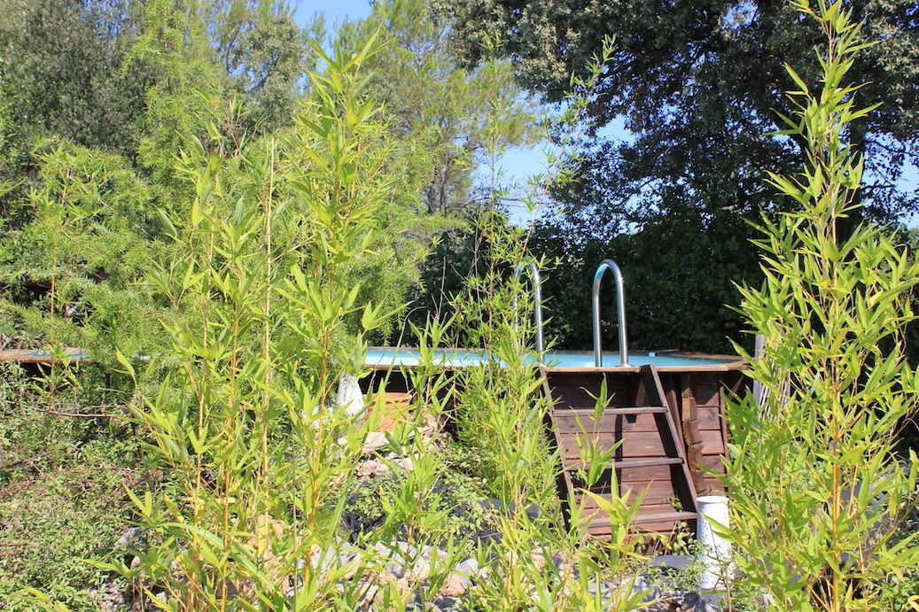 A rustic wooden structure with a metal roof, surrounded by dense green foliage.