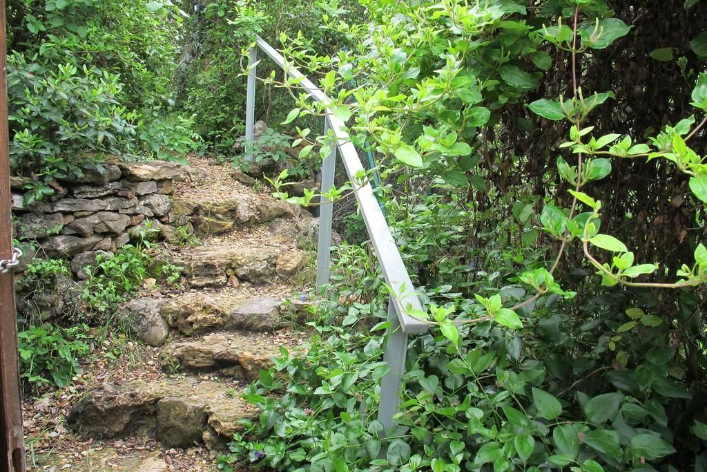 A stone staircase with metal railings surrounded by dense greenery.