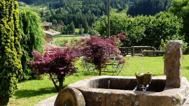 Un vieux puits en pierre, rustique, doté d’un bec en métal, entouré d’une végétation luxuriante et d’une clôture en bois.
