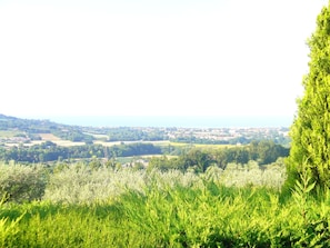 Nicht klassifiziertes Bild, 5 von 9, Schaltfläche