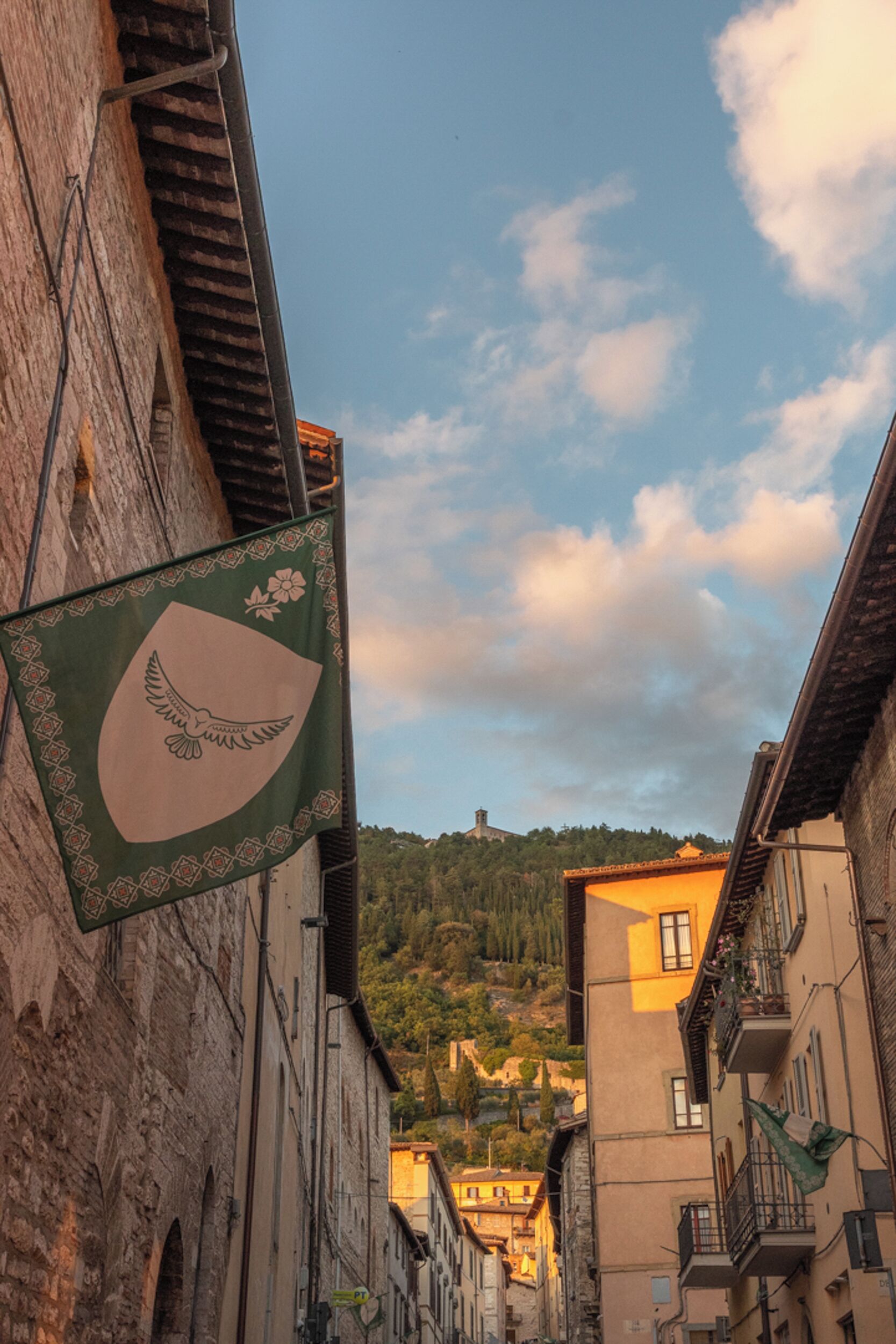 Una calle estrecha flanqueada por edificios, una bandera con un diseño de ave y una colina con árboles al fondo.