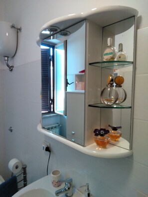 Shower, hair dryer, bidet, towels