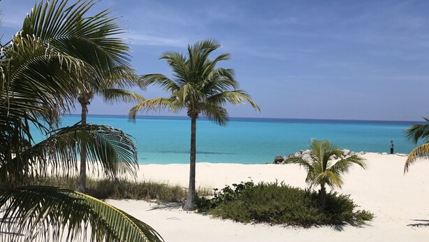 Une plage de sable blanc, bordée de palmiers, avec une eau d’un bleu cristallin.