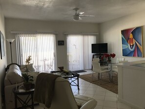 Smart TV, DVD player, books