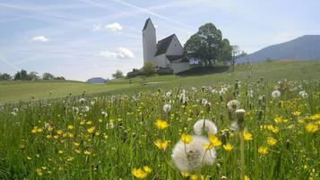 Paisaje rural con una iglesia blanca y un campo de flores amarillas.