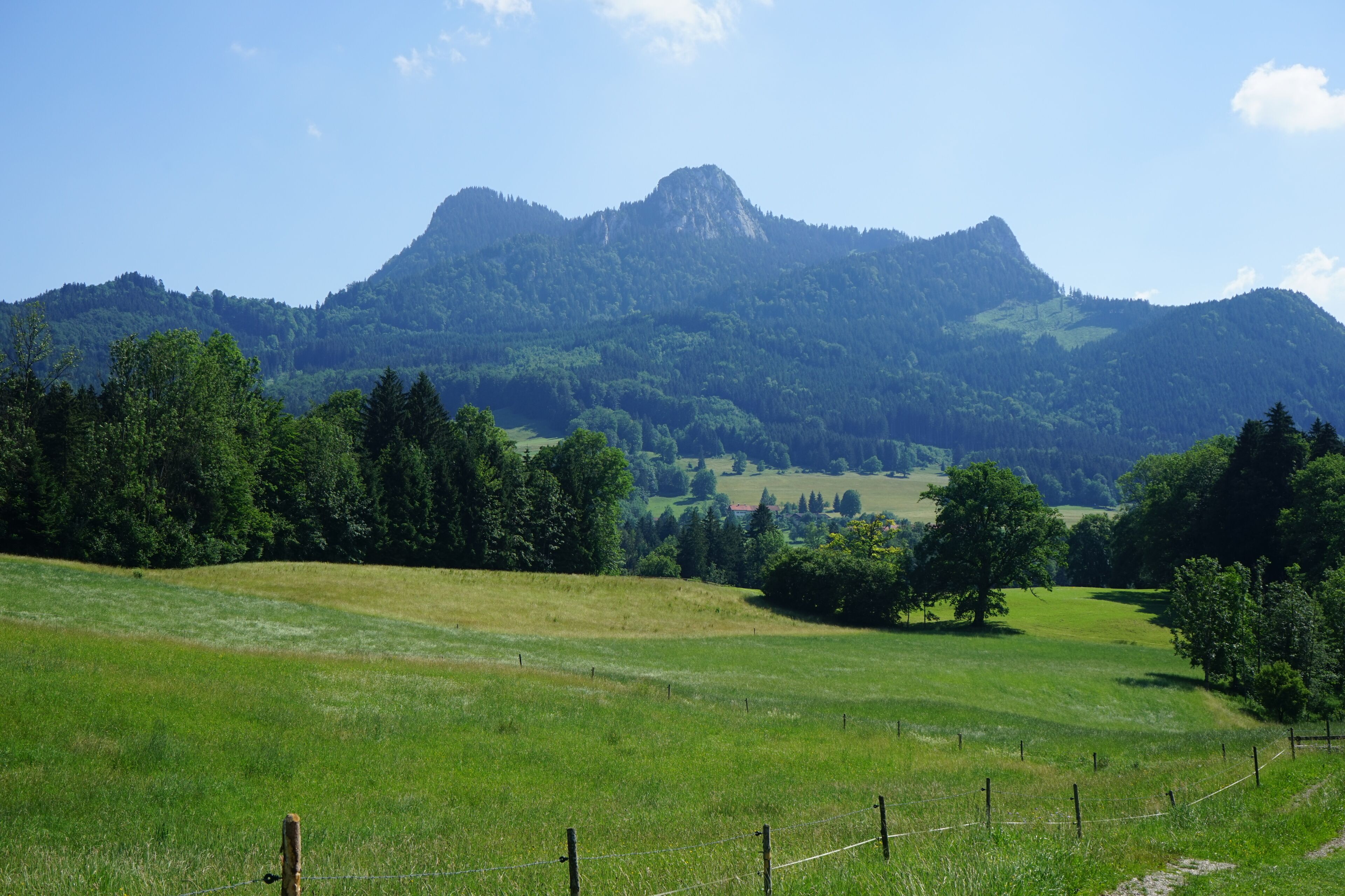 A mountainous landscape with a field in the foreground and a mountain range in the background.