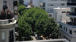 A view of a cityscape with a large tree in the foreground, surrounded by multi-story buildings with balconies and windows. - Beautiful bright apartment located in the best area of Palermo with 2 bathrooms! (CABA)