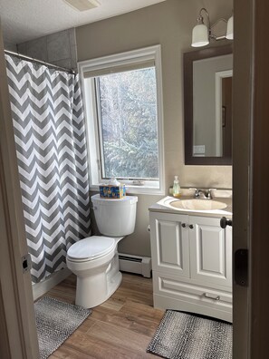 Secadora de cabello, toallas, shampoo 