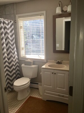 Hair dryer, towels, shampoo
