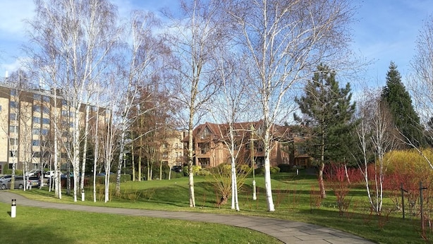 外観の詳細