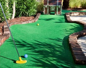 Play a round of golf on our well-maintained course with obstacles and targets.