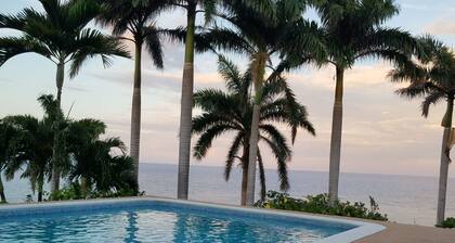 Coral Hill B&B - Royal Palm -sviitti
