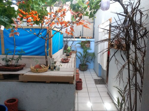 Hostal Gato Azul Habitaciones Privadas