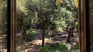 Vista desde una ventana a un jardín con árboles y un camino empedrado.