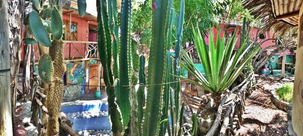 Un jardín de cactus con una cerca de madera, una piscina de mosaico azul y un edificio rojo al fondo.