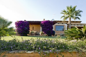 Une maison avec un jardin, un palmier et une grande fenêtre.