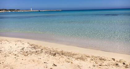 Lappanu Unit - a stone's throw from the sea - The Palm Houses