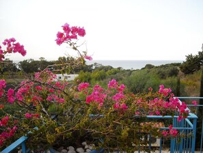Ein Balkon mit pinkfarbenen Bougainvillea-Blüten, Blick auf das Meer und ein weißes Gebäude im Hintergrund.