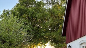 Un camino de grava que lleva a un edificio blanco con techo rojo, rodeado de árboles y un campo.