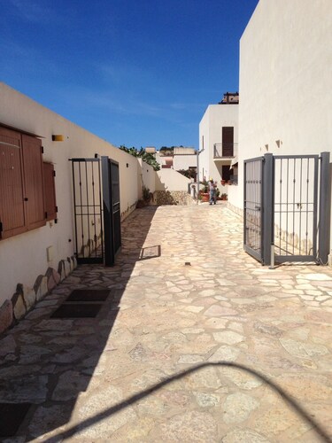 Aeneas Unit - The Palm Houses