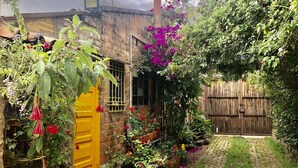 Un jardín con muro de ladrillo, una puerta amarilla y cerca de madera.