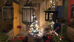 Un ambiente interior acogedor con un árbol de Navidad decorado, faroles y plantas en macetas.