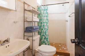 A bathroom with a sink, toilet, shower, and a door.