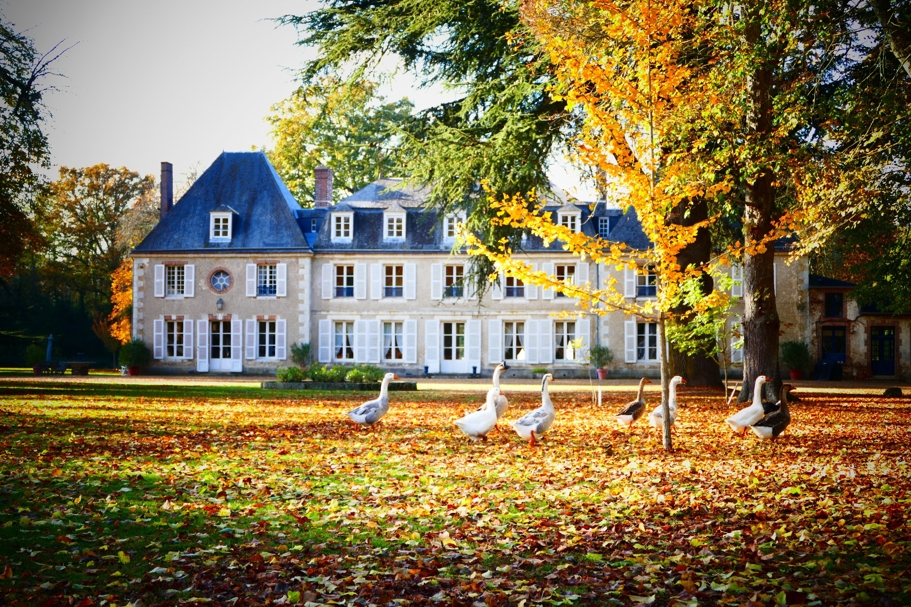 Extérieur