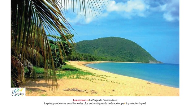 A beach scene with a clear sky, palm trees, and a hill in the background. - Villa O Jardin d'Alice (Deshaies)