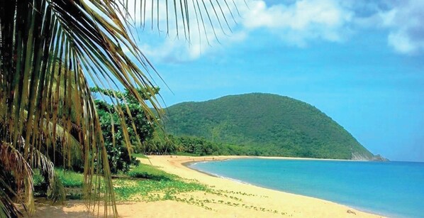 A beach scene with a clear sky, palm trees, and a hill in the background. - Villa O Jardin d'Alice (Deshaies)