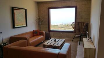 Een smart-tv, een open haard, een dvd-speler en boeken