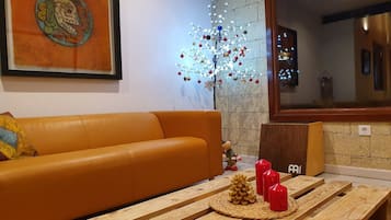 智能电视、壁炉、DVD 播放器、书