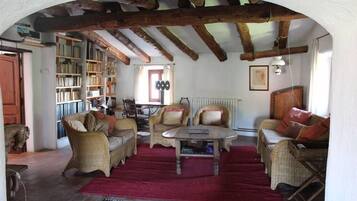 Televisión, chimenea y libros