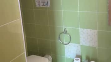 Shower, bidet, towels, soap