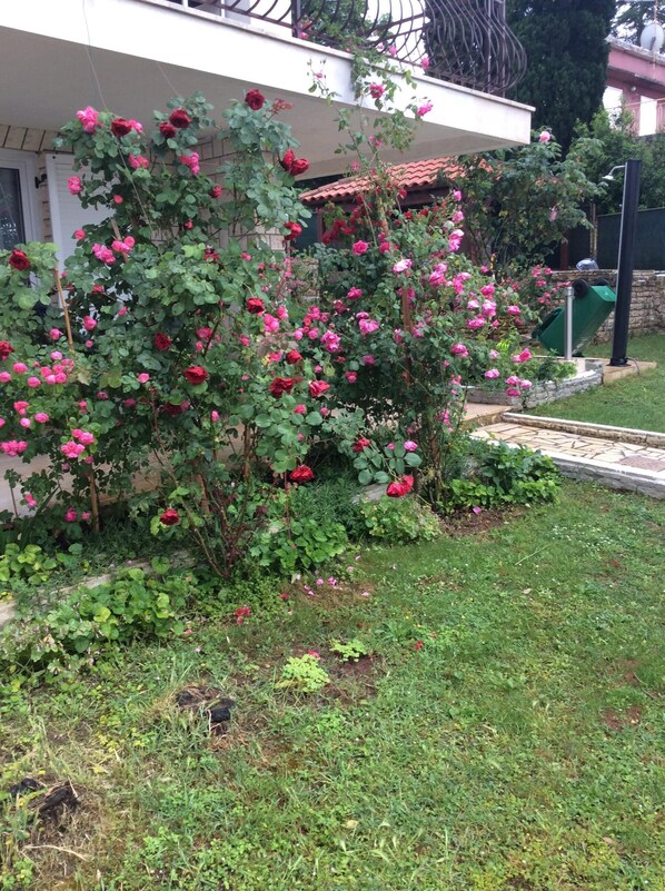 Property grounds - Apartment for 2 people and 2 children (Pula)