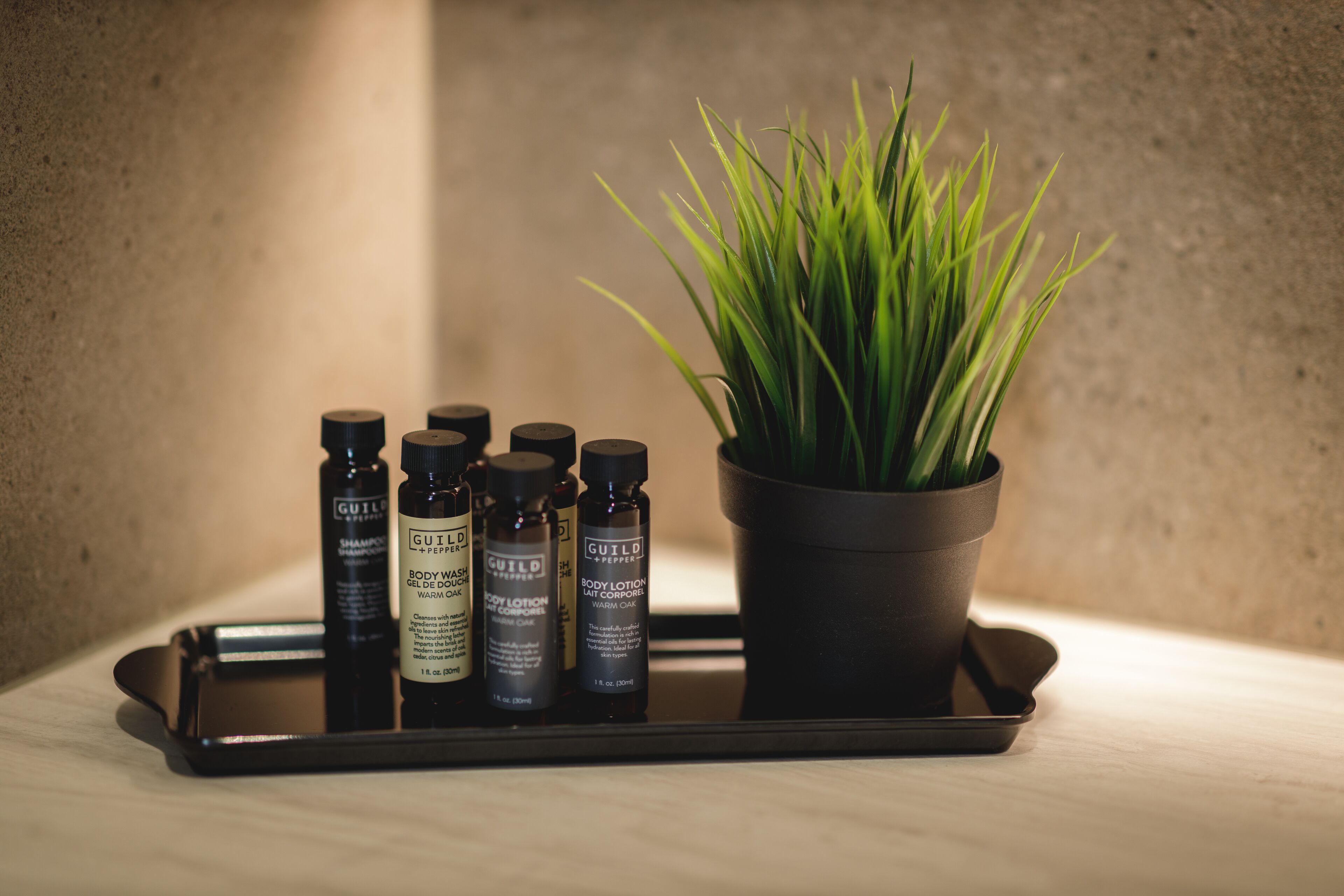 A tray with bottles of body lotion and shampoo, and a potted plant.