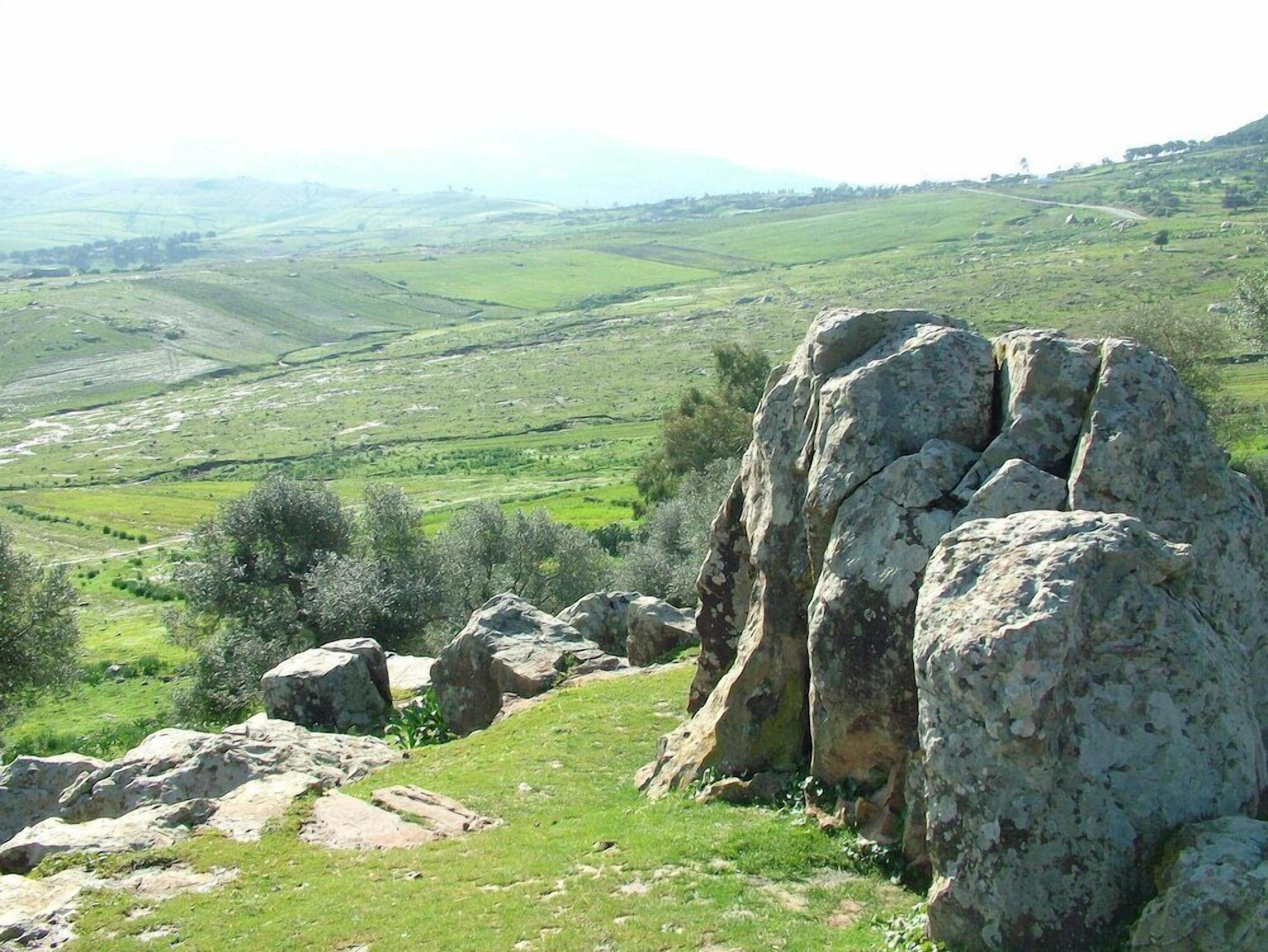 Khác