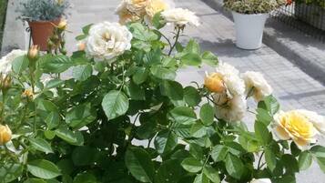 DĂ©tail de lâextĂ©rieur