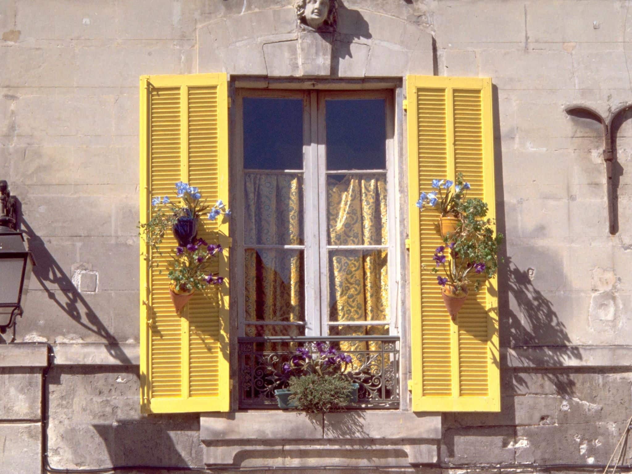 A building with yellow shutters, a window with a curtain, and potted plants with flowers.