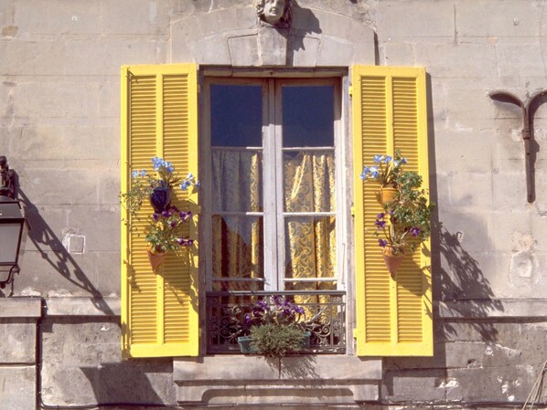 Un bâtiment avec des volets jaunes, une fenêtre avec un rideau et des plantes en pot ornées de fleurs.