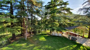 Un área boscosa con mesas de picnic y un espacio de descanso cubierto.