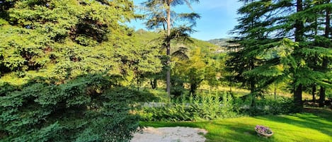 Parco della struttura